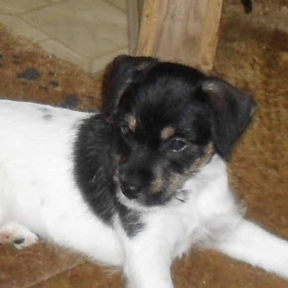 Thanks for shopping my closet!!! - Picture 5 of 16